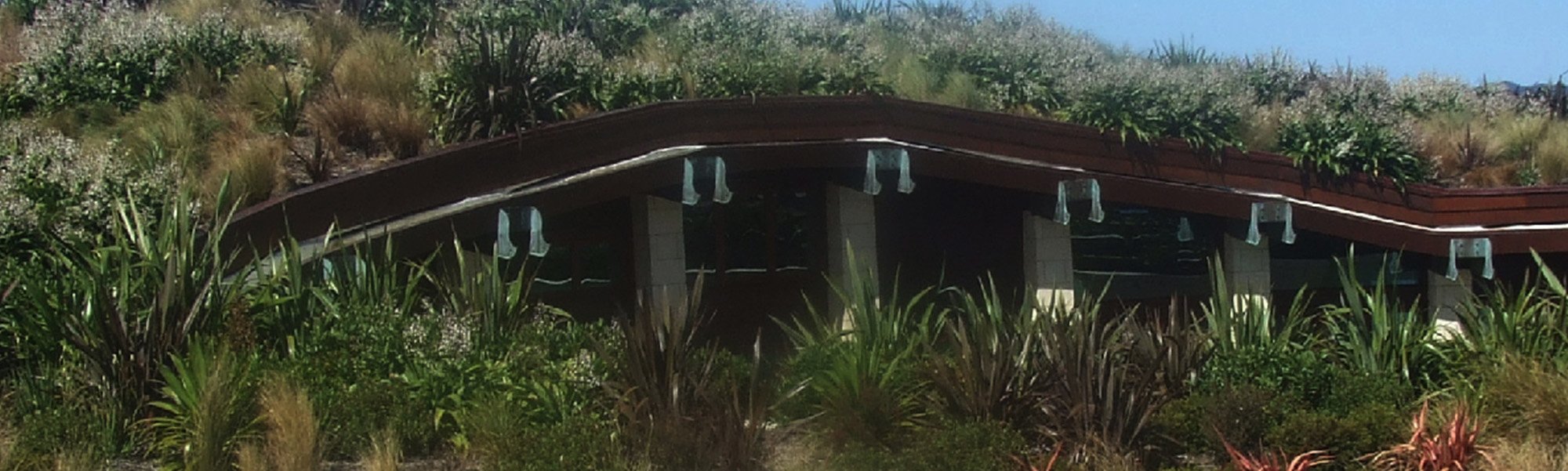 _0007_05 ecoROOF Russell 1.jpg